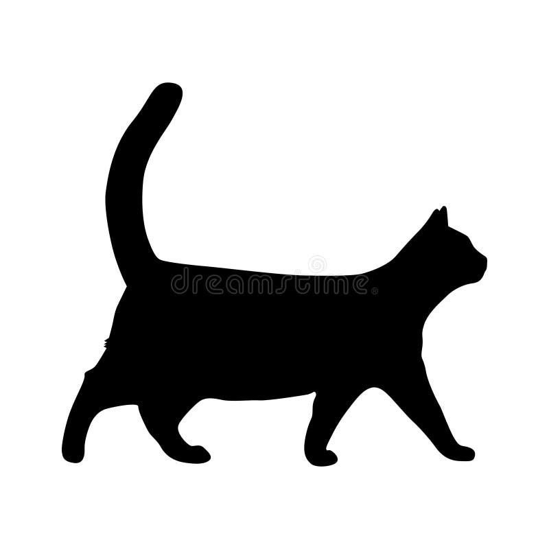 High quality silhouette of a cat walking