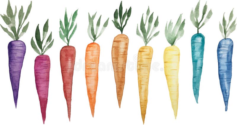 High Quality Vector Watercolor Rainbow Carrots Illustrations stock illustration