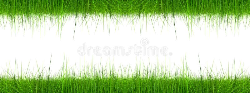 High resolution 3d green grass banner