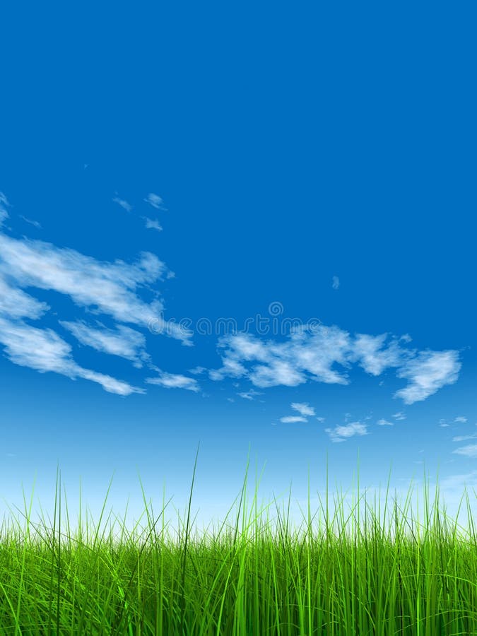 High resolution grass over sky