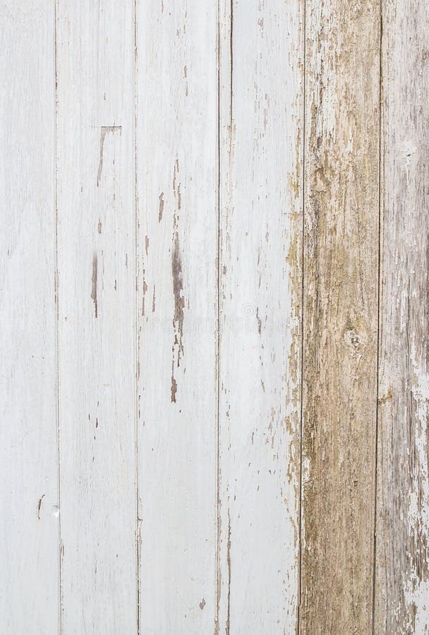 Dry Timber on a White Background. Stock Image - Image of firewood ...