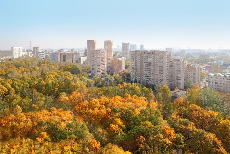 High-rise buildings and yellow trees in park