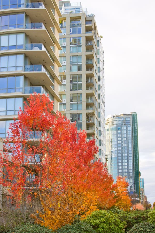 High rise skyline tower autumn royalty free stock photo