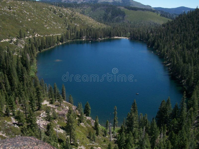 High Sierra Alpine Lake Pines Rocks Stock Photo Image fungas, alpine: 47029680