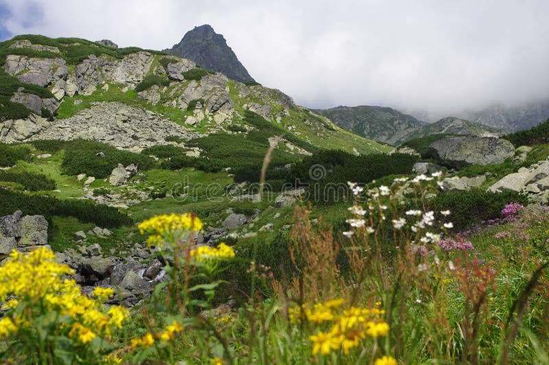 Vysoké Tatry