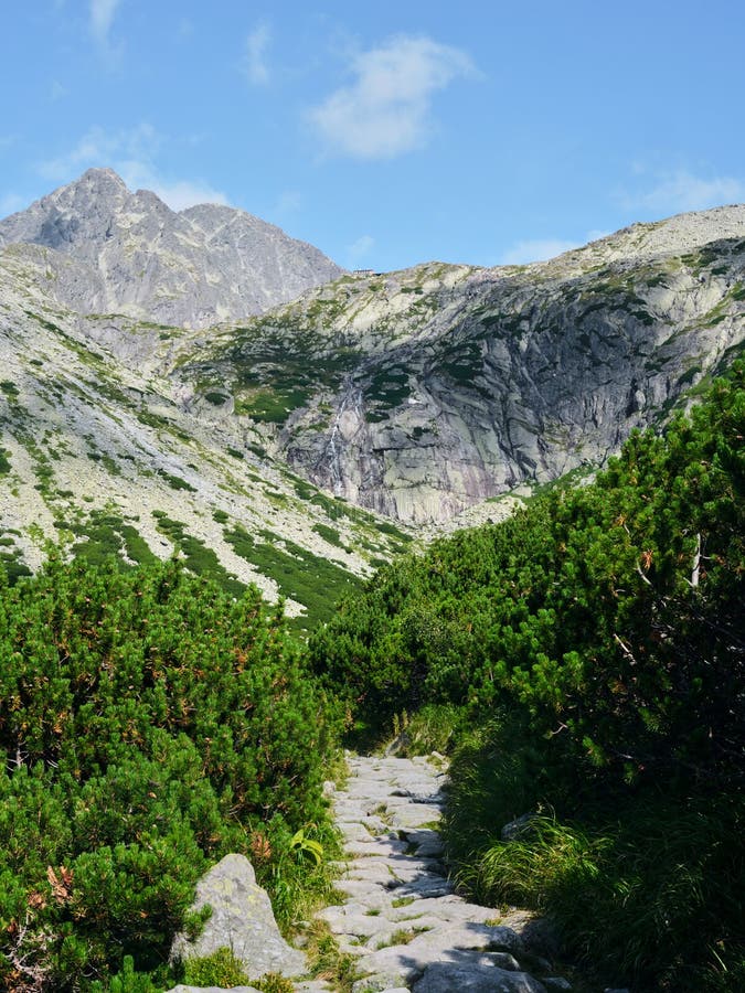 High Tatras above a stone hiking trail among green rhododendrons in Slovakia