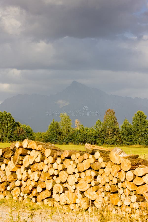 Vysoké Tatry