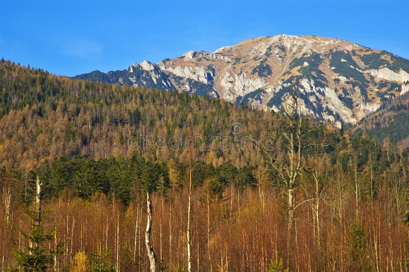 Vysoké Tatry