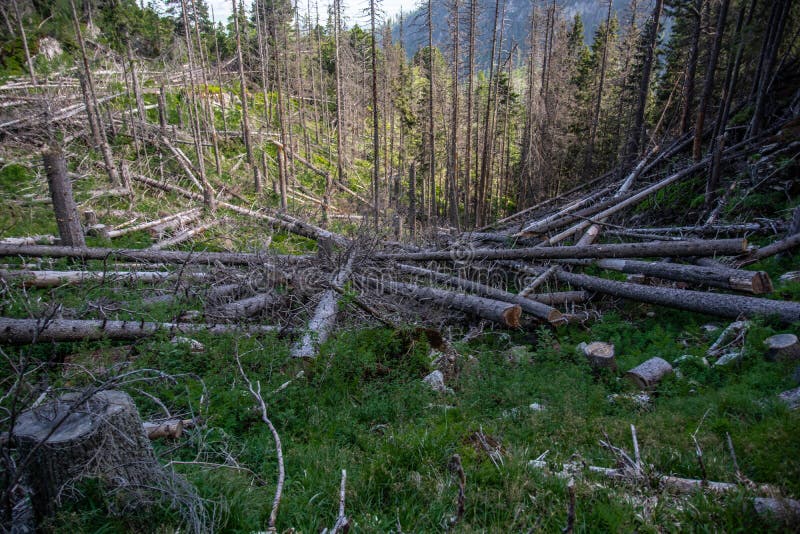 Vysoké Tatry Vysoké Tatry, Tatry Wysokie, Magas-Tatra sú pohorím pozdĺž hranice Slovenska v Pred