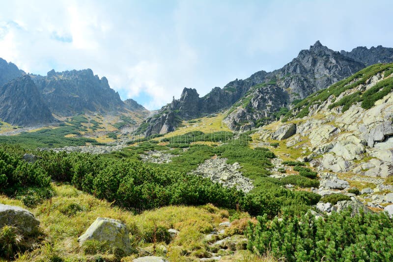 High Tatras nature