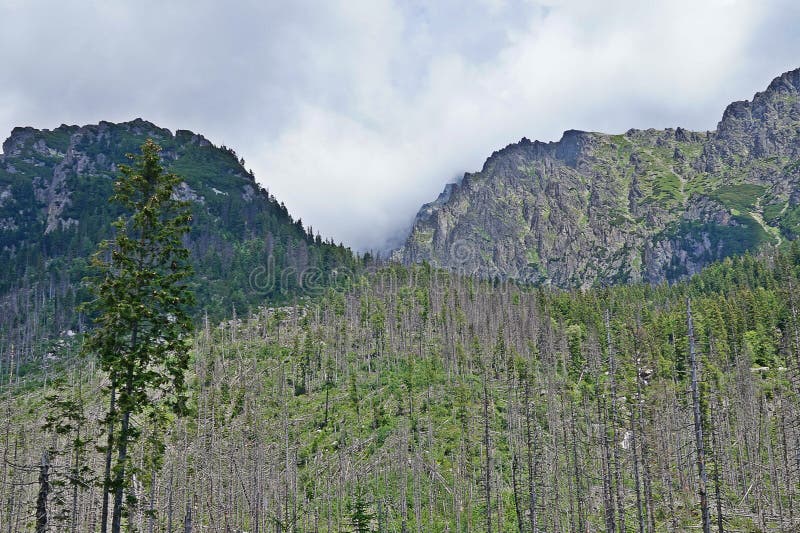 Vysoké Tatry