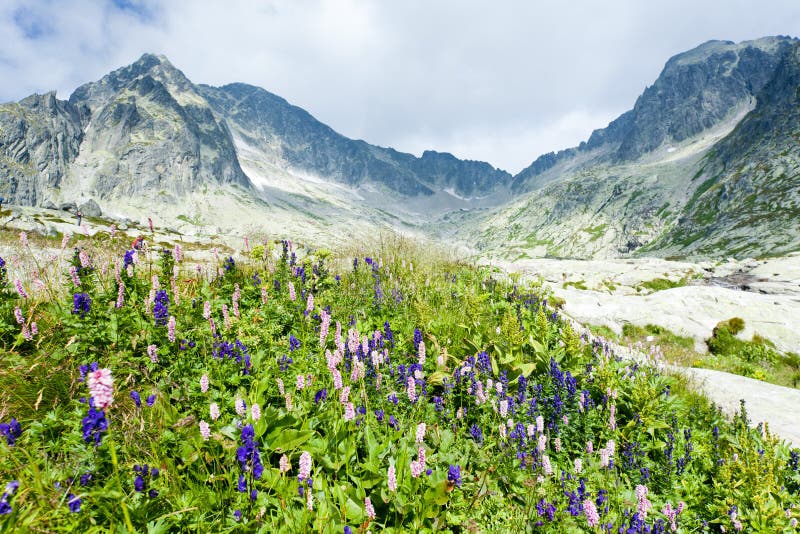 Vysoké Tatry, Slovensko