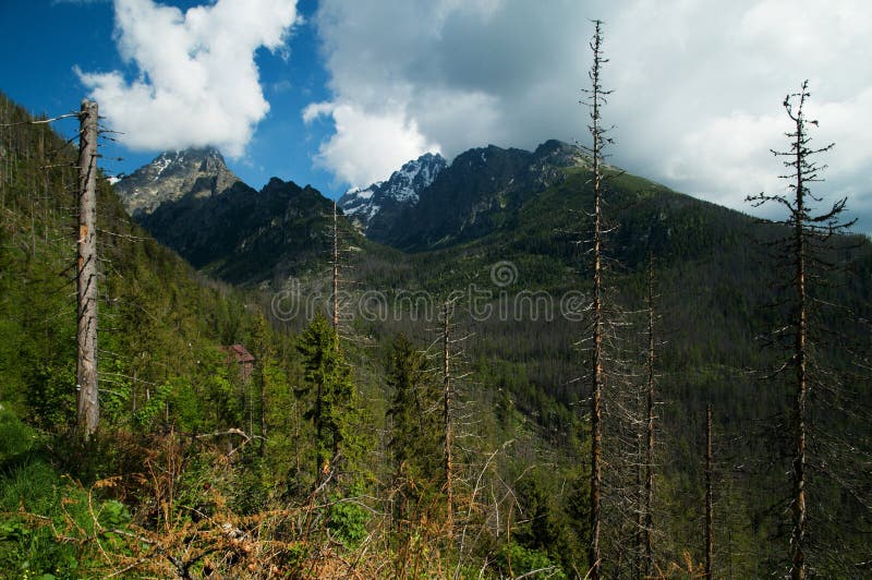 Vysoké Tatry