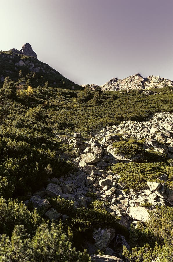 High Tatras