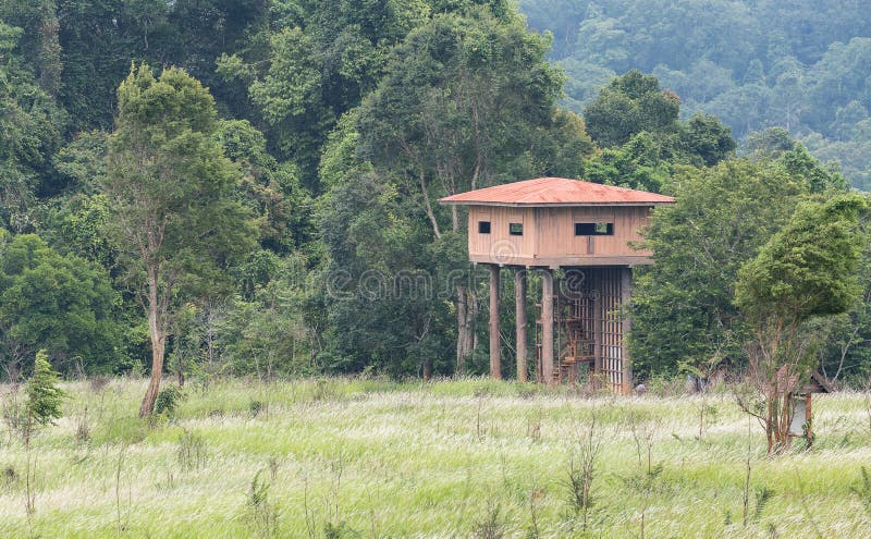 High tower in forest stock image. Image of grass, house - 76524243