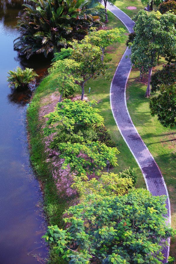 Jogging trail in the park. stock photo. Image of environment 100011556