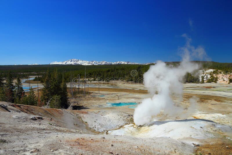 Norris Geyser Basin, Yellowstone National Park, Geothermal Landscape at Black Growler Vent, Wyoming, USA