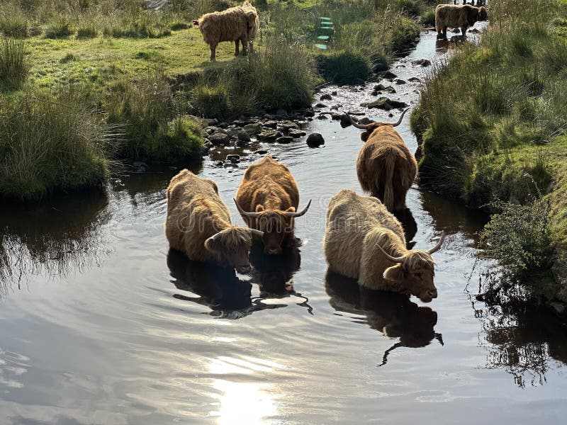 Cooling Off stock photo