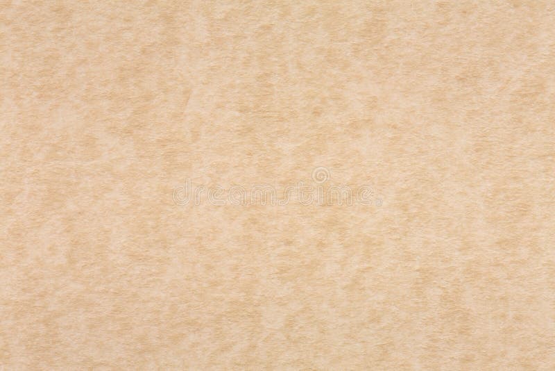 Highlight on beige background. stock photo