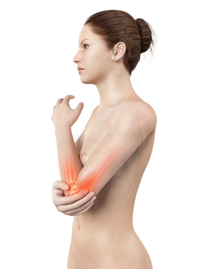 Highlighted elbow joint royalty free illustration