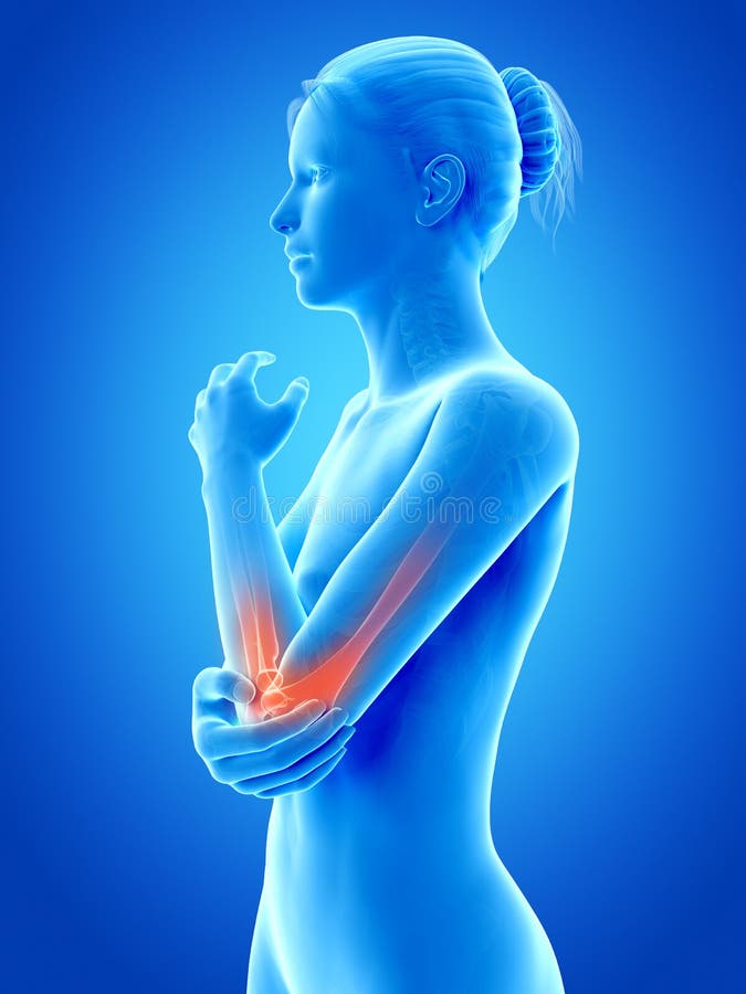 Highlighted elbow joint royalty free illustration