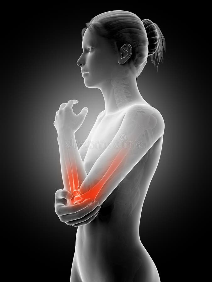 Highlighted elbow joint stock illustration