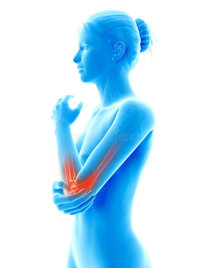 Highlighted elbow joints vector illustration