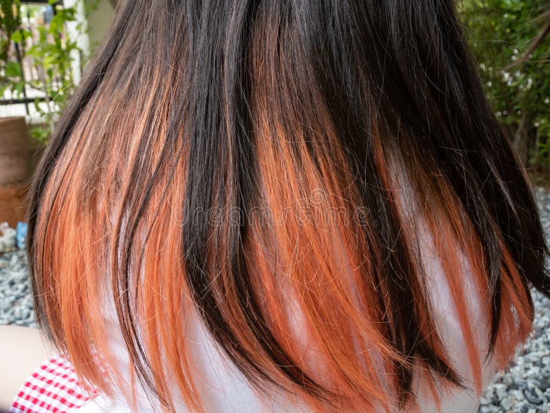 Highlight hair color stock image. Image of health, blue - 188639591 Highlight hair color stock image. Image of health, blue - 188639591