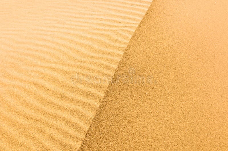 Highly detailed texture of sand dunes
