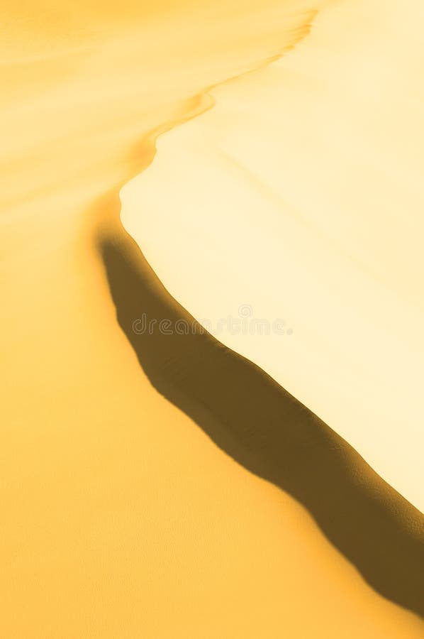 Highly detailed texture of sand dunes