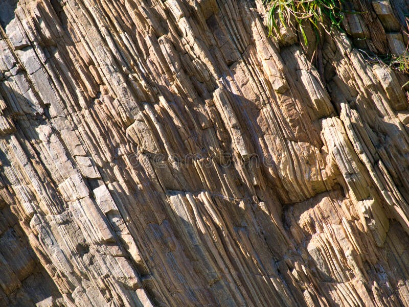 Highly inclined phyllite bedrock next to the beach at Skaw on  the island of Unst in Shetland, Scotland, UK.