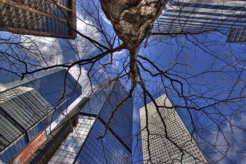 Highrisers and a tree from ant perspective. Perspective ant stock images, royalty-free photos and pictures