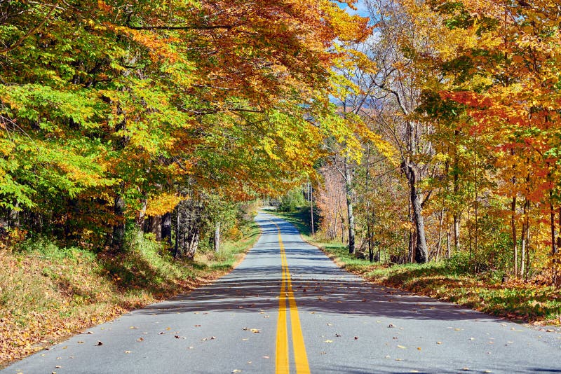 Highway at autumn day, Vermont, USA