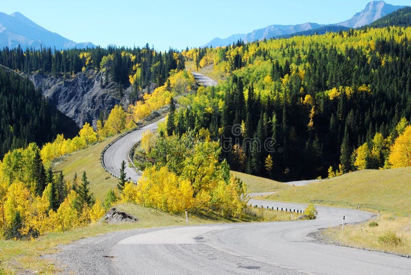 Highway in a beautiful shape