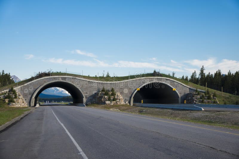 Highway crossing bridge for animals stock photo Highway crossing bridge for animals stock photo