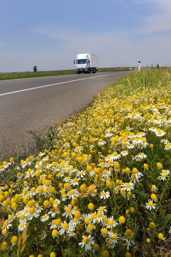 Highway flowers stock photo. Image of rally, road, drive 41303568