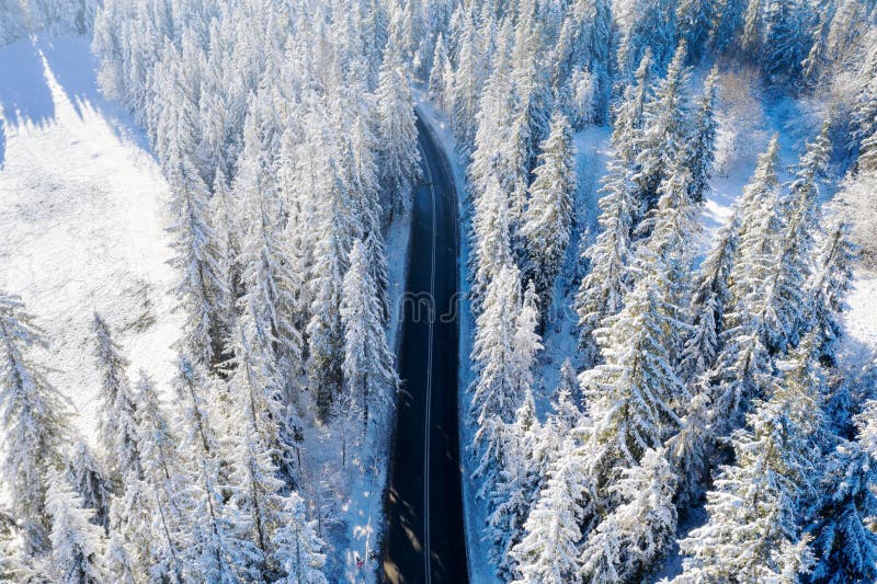 Highway in Winterwald stockbild Highway in Winterwald stockbild