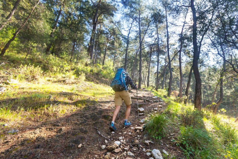 Hike in the forest