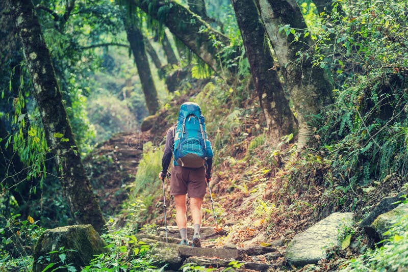 Hike in Nepal jungle stock photo. Image of hike, backpack - 69776962