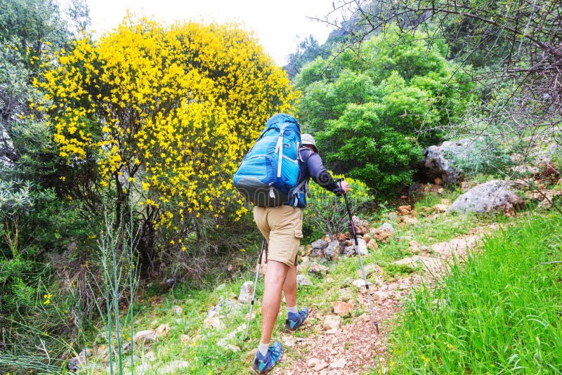 Hike in Turkey stock photo. Image of enjoy, mediterranean 91778114