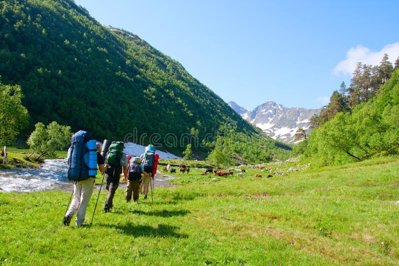 Hiker royalty free stock images