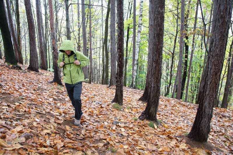 Hiker stock image