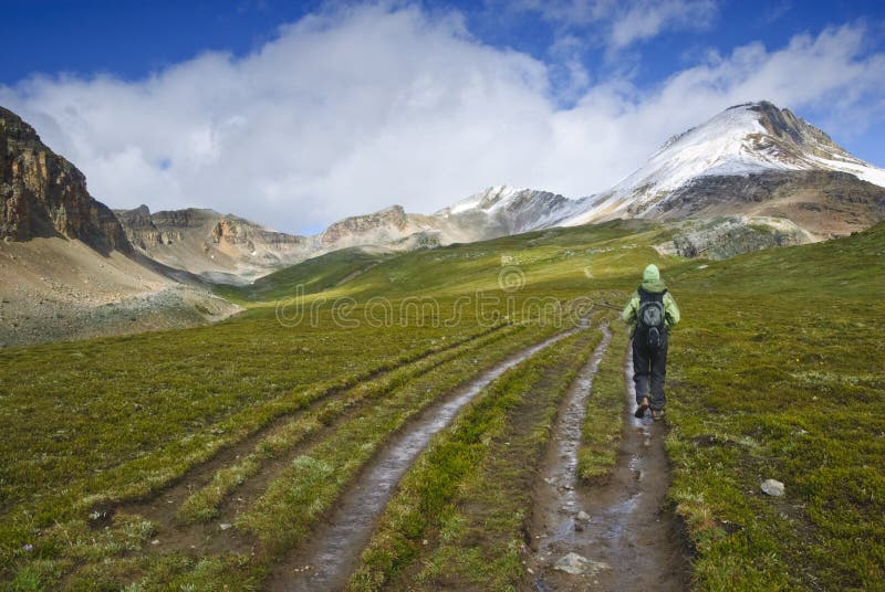 Hiker in the canadian rockies stock photos