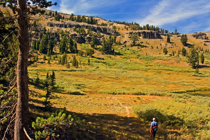 Hiker Near Showers Lake, Carson Pass Stock Photo Image of trails, alpine 12169304