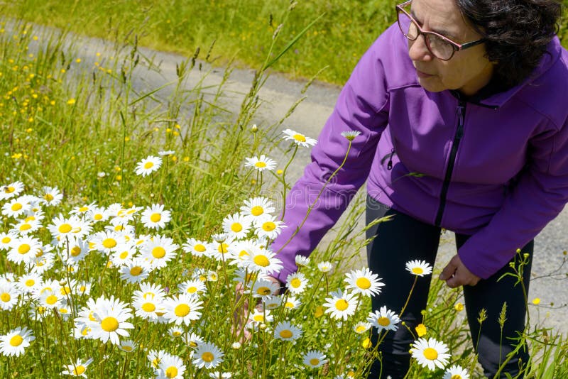 Picking Daisies stock photo. Image of beauty, beautiful 2135874