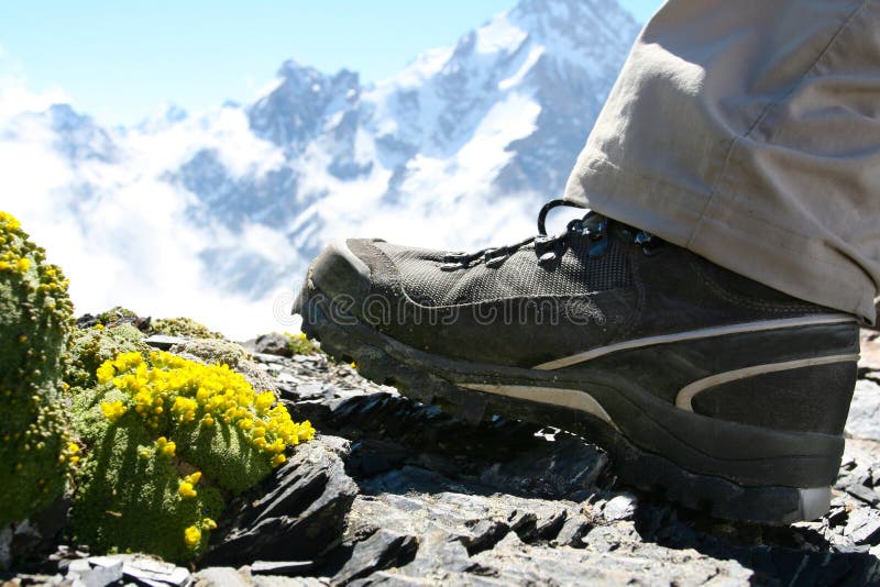 Hiker shoes royalty free stock images