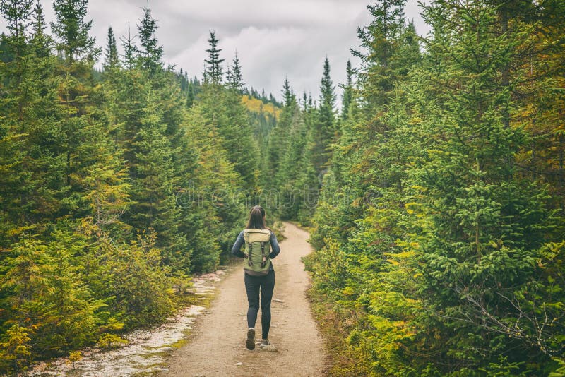 Hiker travel woman walking on trail hike path in forest of pine trees. Canada travel adventure girl tourist trekking in