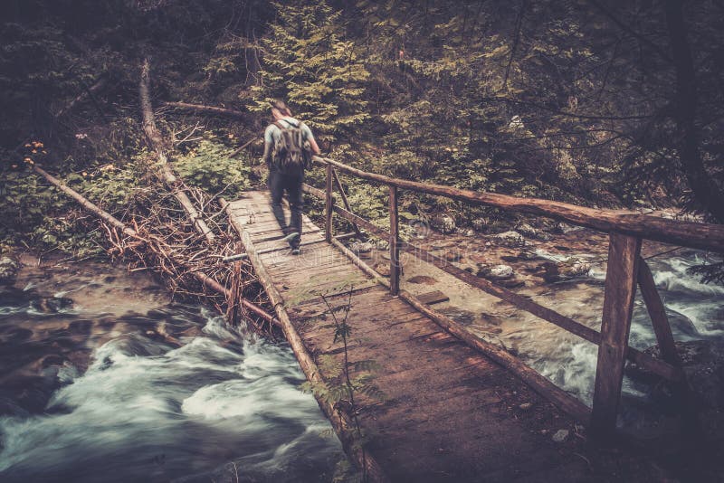 Hiker walking over wooden bridge in a forest