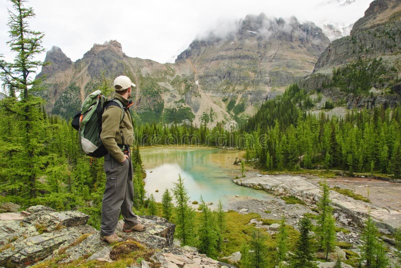Hiker in Yoho national parc stock images