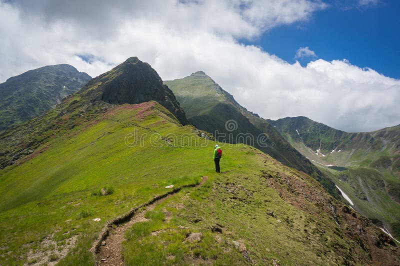 Hiker восхищая взгляд на пути в горах стоковые изображения